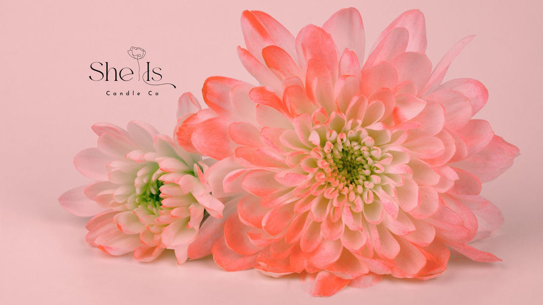 Behind the name of our newest collection